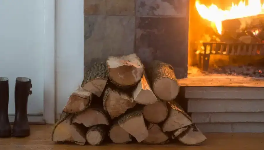 Are Kiln Dried Logs Worth It? image