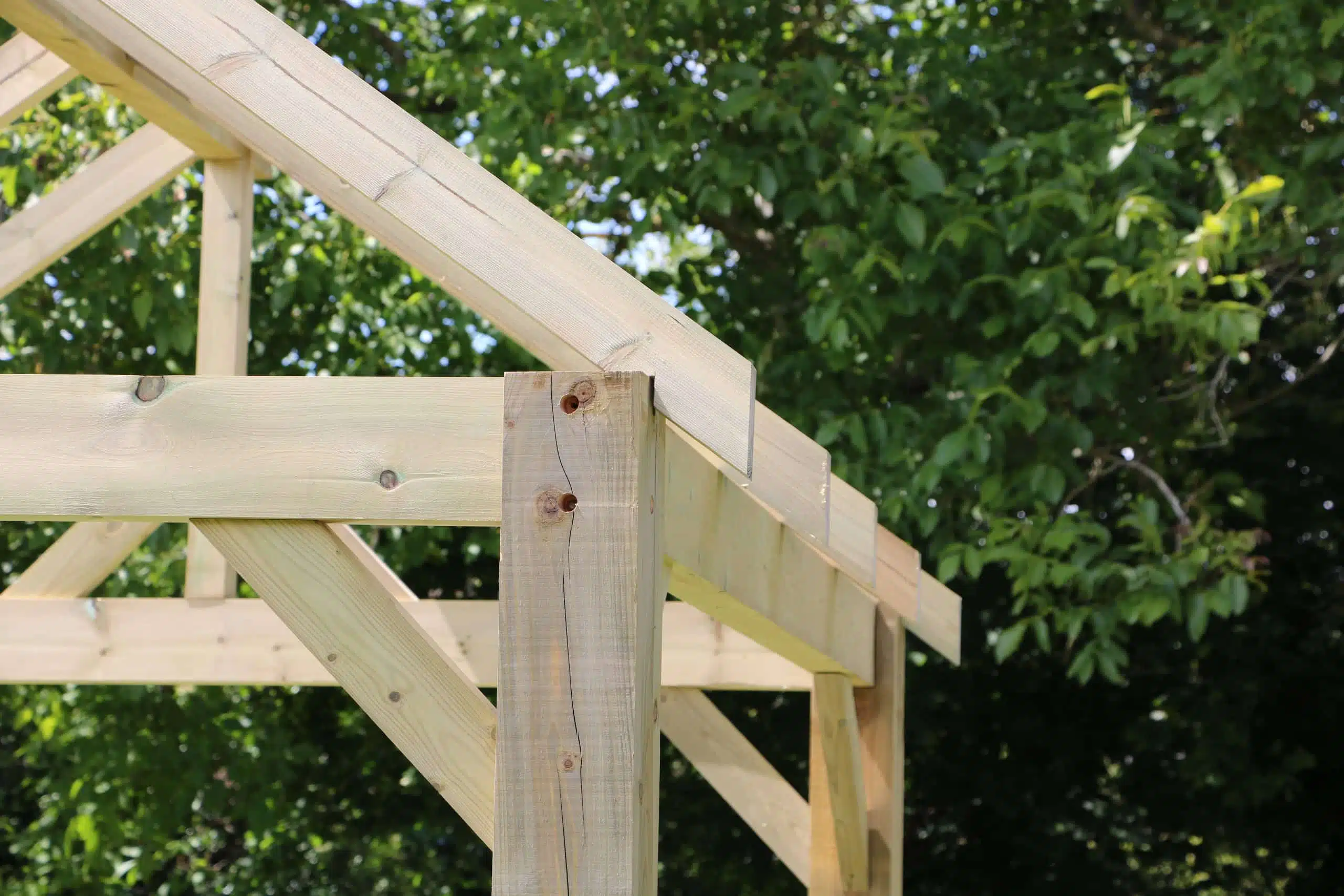 a85ba6_d911be7590004575b9c3264d8766ea06mv2-scaled